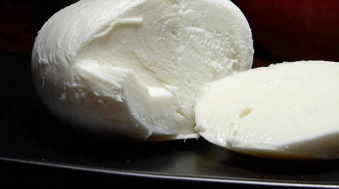 Mozzarella