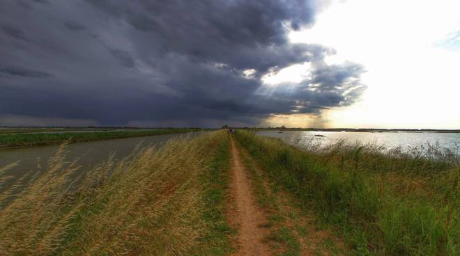 temporale