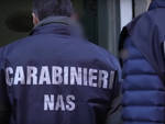 carabinieri Nas