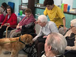 Pet therapy Istituto Longobucco