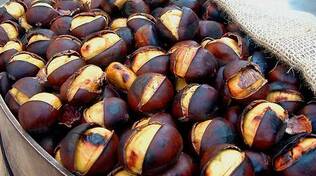 Castagne