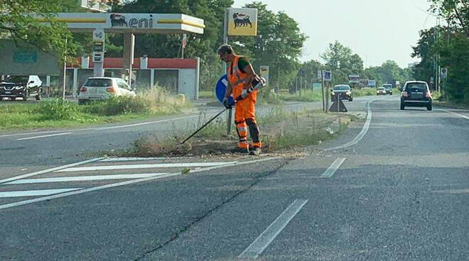 Taglio erba Besurica