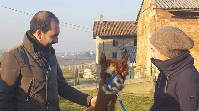 Matteo Rancan con Gloria Merli e un alpaca