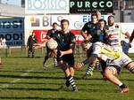 rugby Lyons Calvisano