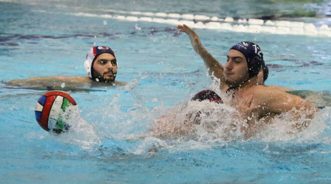 Piacenza Pallanuoto