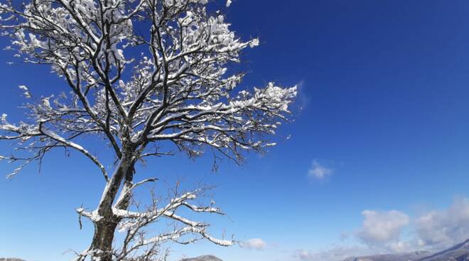 Quando il sole sposa la neve, la magia nelle foto