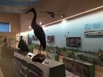 Museo storia naturale 