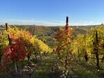 I colori dell autunno da Ziano