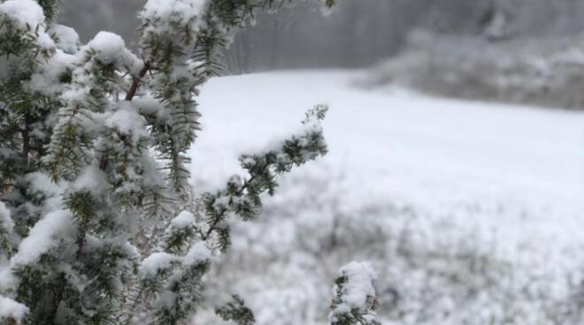 Neve al Passo di Santa Barbara - novembre 2021