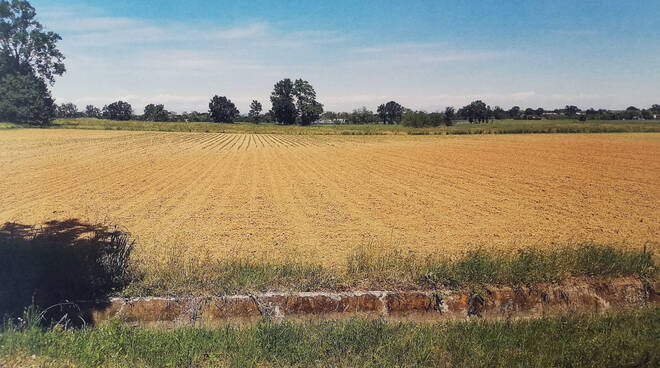 Campo mais senza piantine