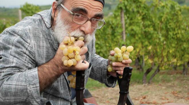 Cantina Massimo Bersani