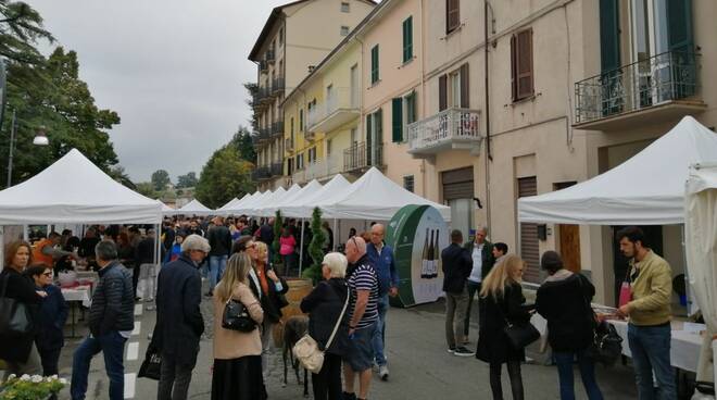 Pianello Wine Fest