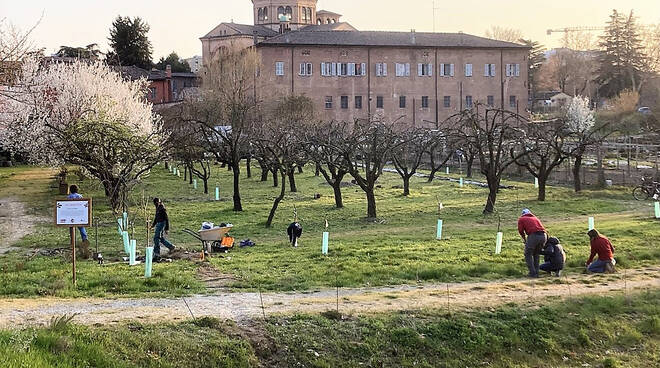 Frutteto Santa Maria di Campagna