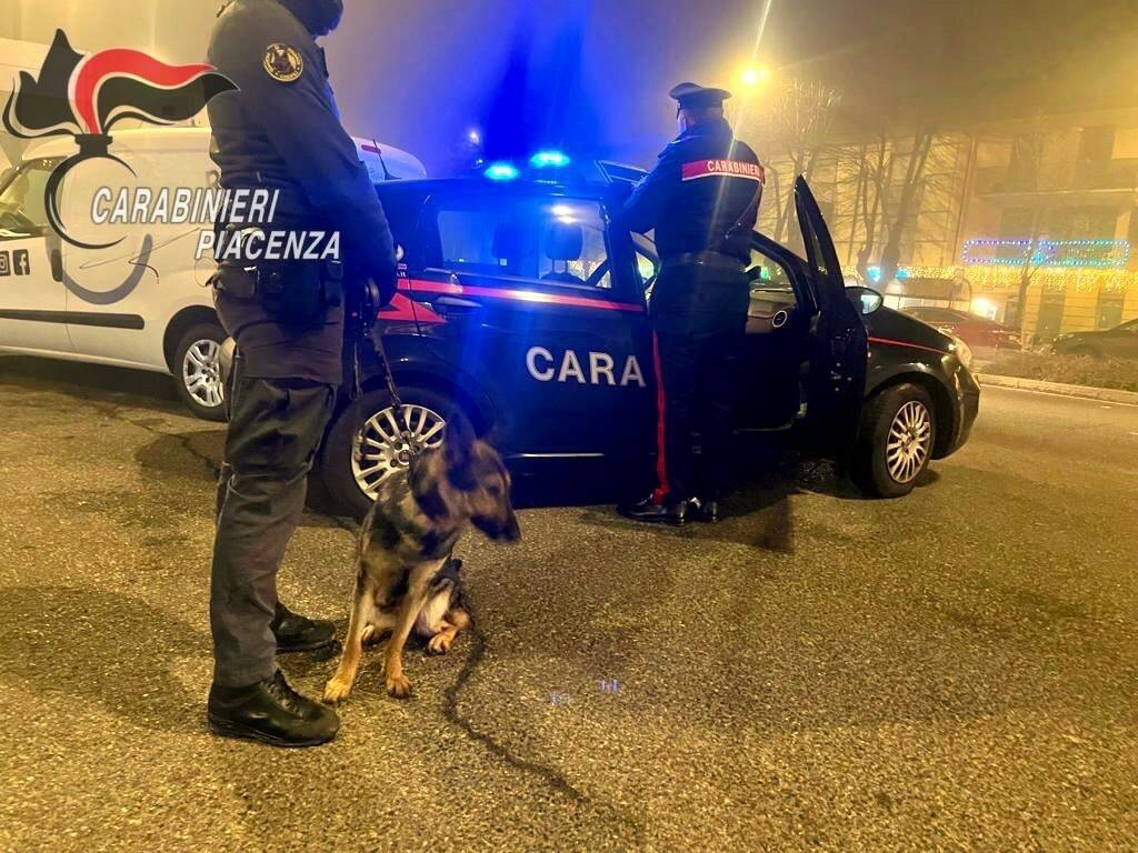 controlli carabinieri unità cinofile