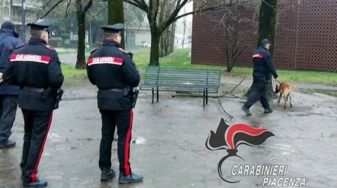 cane Edo carabinieri