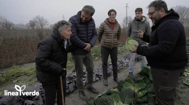 Linea Verde attraversa Piacenza, tra le nebbie del Po, storia e antichi  sapori 