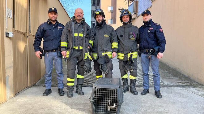 Polizia e vigili del fuoco con il gatto salvato