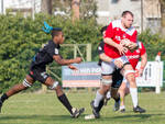 Rugby serie B - I placcaggi di Bilal fermano il Bergamo ed il Piacenza Rugby torna alla vittoria.