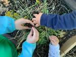 nido d'infanzia l'albero delle coccole gossolengo