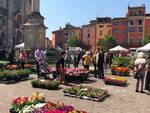 Piacenza in fiore