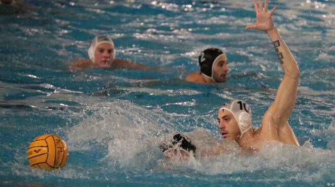 Piacenza Pallanuoto