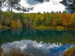 Un piccolo ritiro fra relax e natura nella Foresta delle Lame  con LA CURA DEL BOSCO