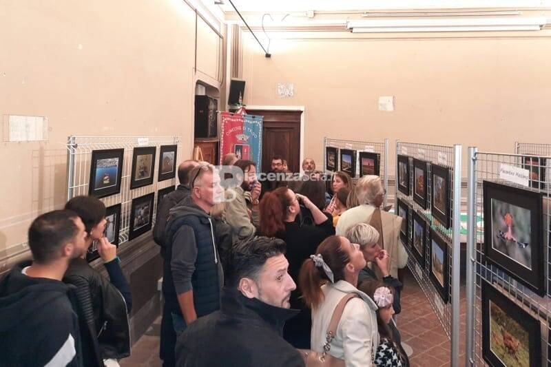 Reflex and Company, un successo la Mostra Fotografica «NOVI FINES»