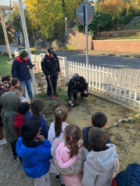 giornata nazionale degli alberi