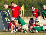 Rugby Serie B – Con la 12° vittoria consecutiva continua la striscia positiva del Piacenza Rugby