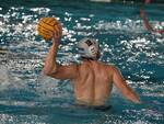 Piacenza pallanuoto