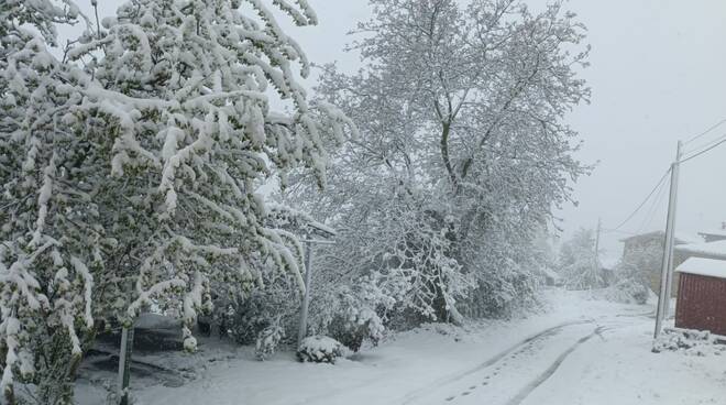 neve a Pellacini