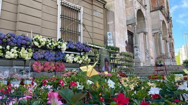 Piacenza in fiore