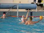 Piacenza pallanuoto