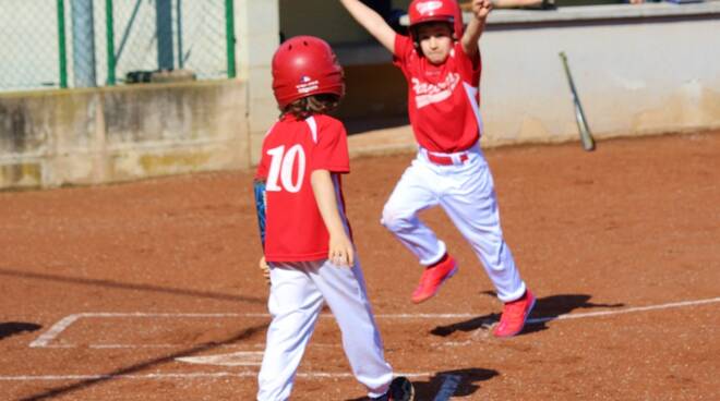 baseball piacenza