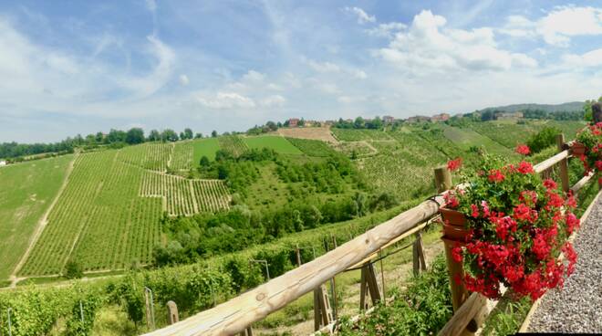 colli piacentini consorzio vini