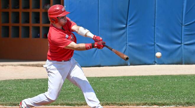 Piacenza baseball Avigliana