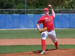 Piacenza baseball Avigliana