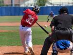 Piacenza baseball Avigliana