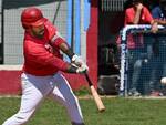 Piacenza Baseball (foto Scorsoglio/Piacenza Baseball)