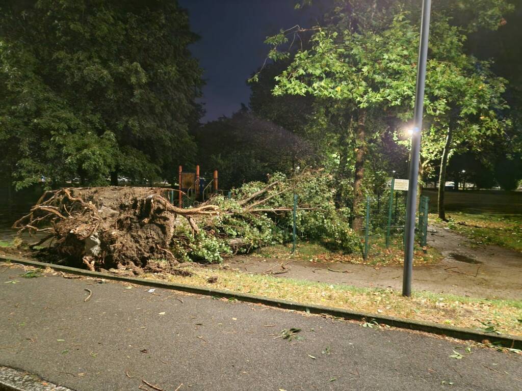 Alberi e rami caduti per il maltempo