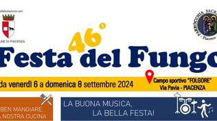 Festa del Fungo