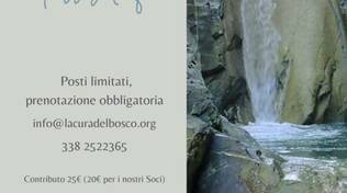 forest bathing cascate del carlone