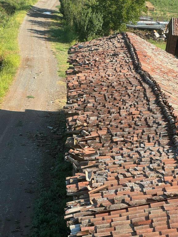 I danni del maltempo nelle aziende agricole