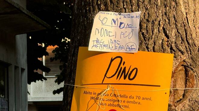 Il sit in ambientalista per gli alberi in piazza Cittadella