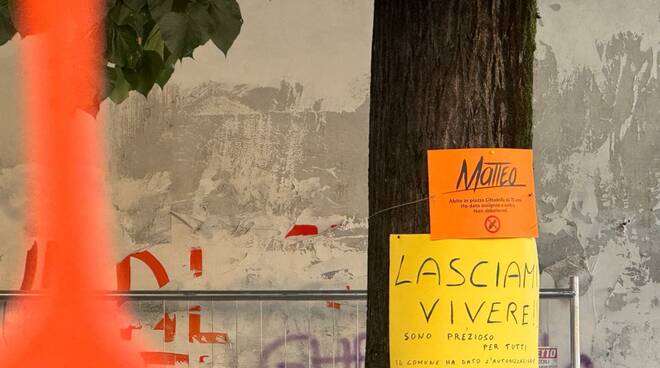 Il sit in ambientalista per gli alberi in piazza Cittadella