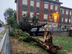 Maltempo in città, gli interventi della Polizia Locale