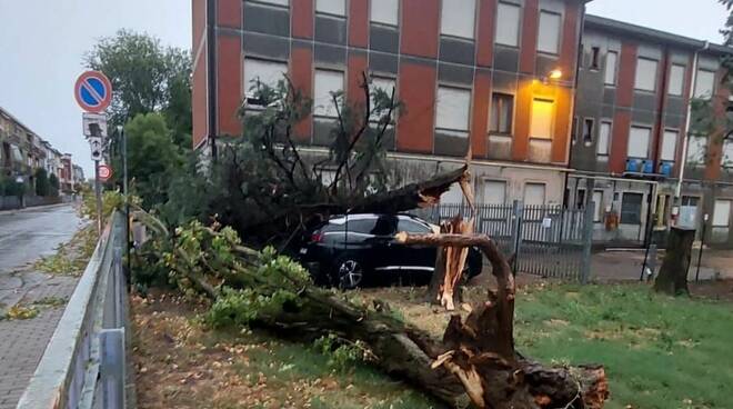 Maltempo in città, gli interventi della Polizia Locale