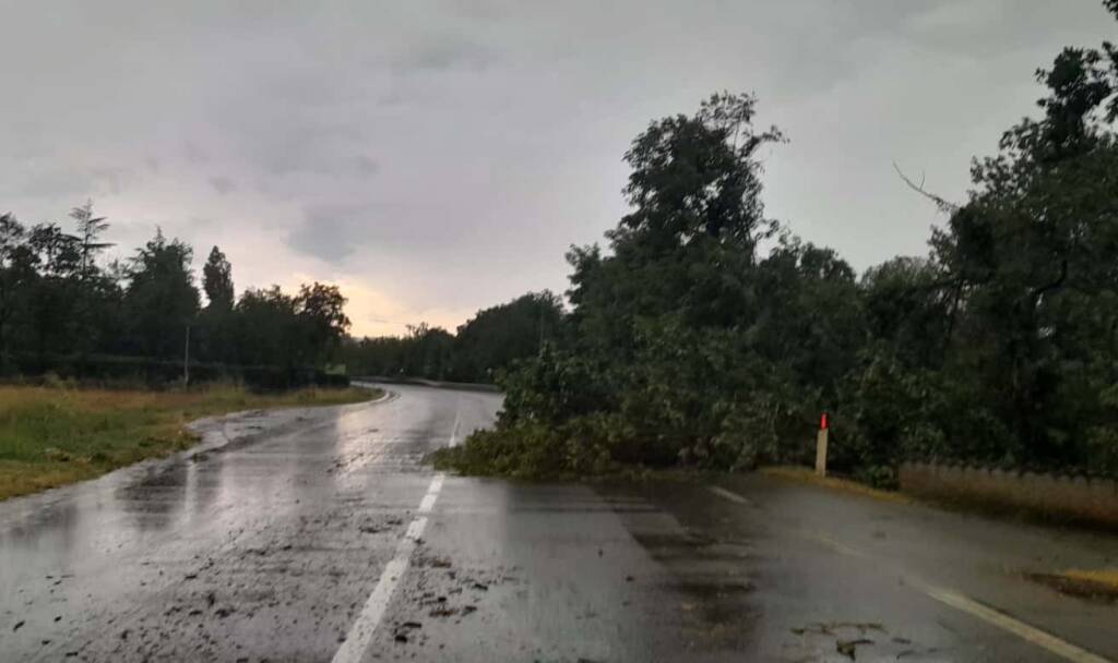 Maltempo nel piacentino: forte vento e alberi caduti