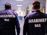 Nas di Parma medico arrestato 