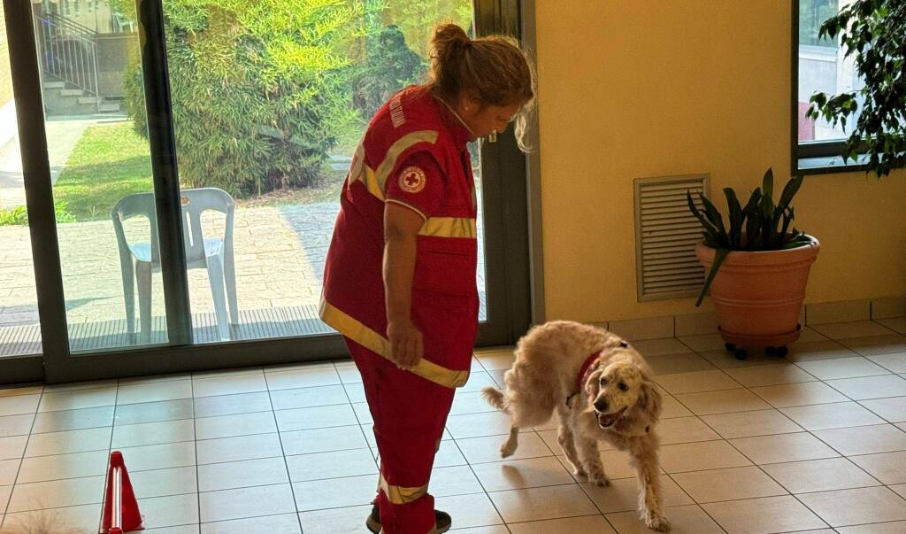 Unità cinofila Croce Rossa in ospedale 